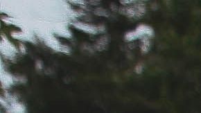 Hay signos más sucios que otros.