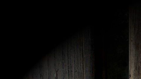 Las perillas de la puerta de entrada pueden ser un foco de infección de coronavirus.