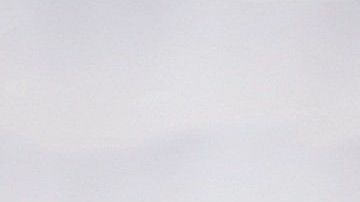 Las hembras en celo cambian su temperamento.