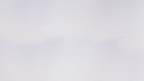 Las hembras en celo cambian su temperamento.