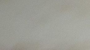 Una perrita corgi le puso el susto de su vida a su dueña.