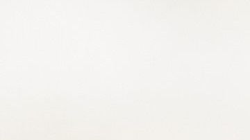 Los perros no deben andar en dos patas porque es dañino para su salud.