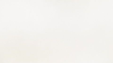 Los perros no deben andar en dos patas porque es dañino para su salud.