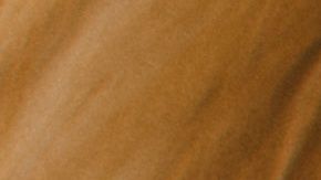 Los canes dejan de comer por alguna razón, pero no es un trastorno alimenticio como en los humanos.