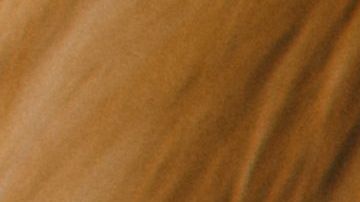 Los canes dejan de comer por alguna razón, pero no es un trastorno alimenticio como en los humanos.