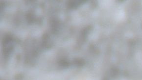 Un sujeto bajo los efectos de las drogas dijo que estaba enseñando a manejar a su perro,