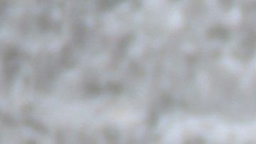 Un sujeto bajo los efectos de las drogas dijo que estaba enseñando a manejar a su perro,