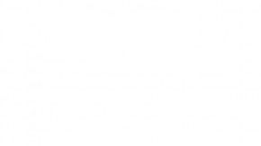 Brodie es un perro con cara deforme que es una celebridad en Instagram.