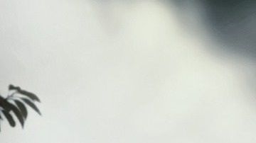 La historia de Moose conmueve a más de 140 mil usuarios de Instagram.