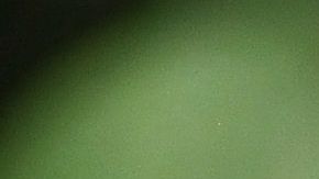 La salud de un perro se deteriora por una mala alimentación.