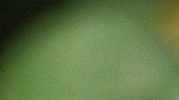 La salud de un perro se deteriora por una mala alimentación.