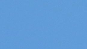 La dentadura de un canino dice su edad.