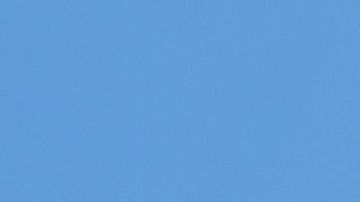 La dentadura de un canino dice su edad.