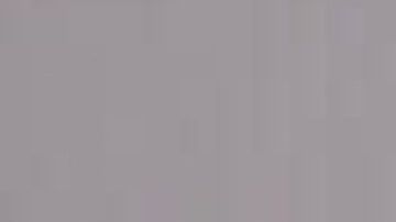 Las mascotas pueden  comenzar a familiarizarse con el bebé aún antes de su llegada mediante el olfateo de su futura ropa.