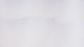 Este amigo te puede dar mucho material para reciclar aunque tú no lo creas.