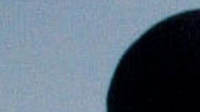 Los gruñidos de un perro no necesariamente significan agresión.