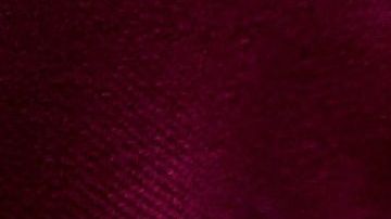 Los perros pueden comer helado, pero solo a base de agua, frutas y sin azúcar