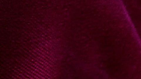 Los perros pueden comer helado, pero solo a base de agua, frutas y sin azúcar