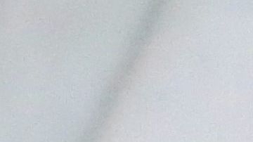 En caso de no alinear los ciclos de sueño y comodidad, el perro debe contar con un lugar propio para descansar.