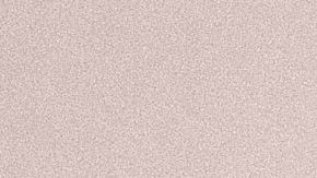 El juego es importante para un can para que esté sano.