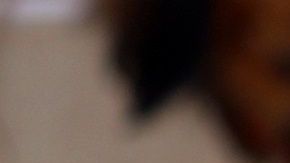 El aprendizaje de la mascota se puede facilitar con la ayuda de un cliker.