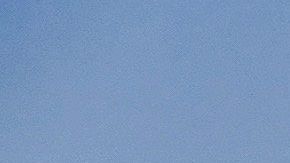 Los perros y sus dueños pueden disfrutar juntos de la playa con algunas consideraciones.