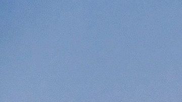 Los perros y sus dueños pueden disfrutar juntos de la playa con algunas consideraciones.