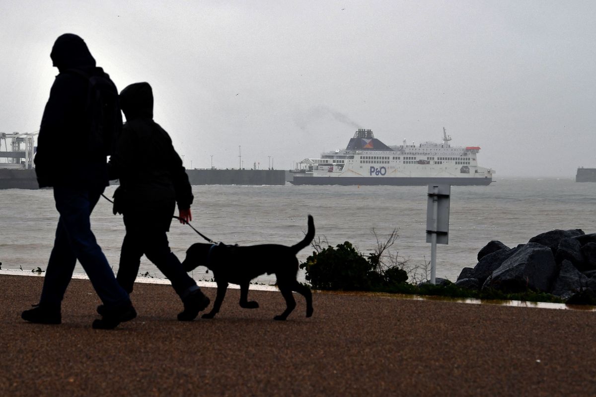Foto:  Ben Stansall/AFP vía Getty Images. Ser paseador de perros es una otra alternativa para estar cerca de ellos. 