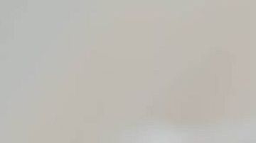 Algunas razas de perro toleran mejor la soledad que otras.