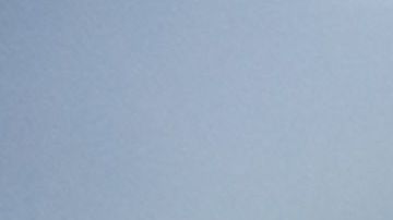 Shiro cuida a los animales a los que su ama definitiva da refugio