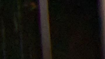 Ama le juega una broma musical a su perro.