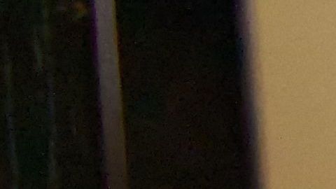 Ama le juega una broma musical a su perro.