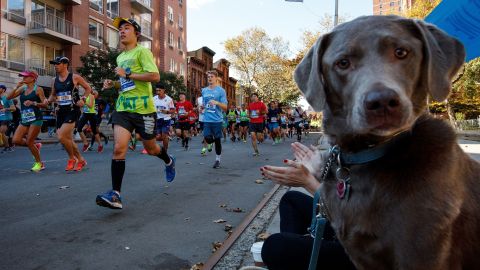 El Maratón es un gran evento para corredores y residentes.