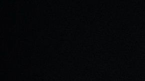 Un collie siempre será tranquilo.