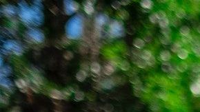 Algunos gobiernos permiten que la gente salga a despejarse.