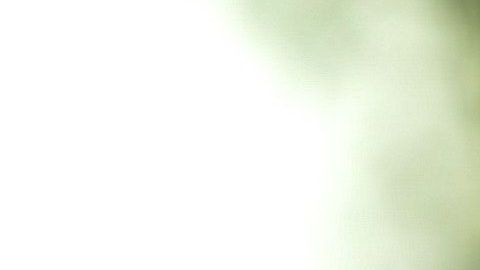 Poderes mágicos del ajo.