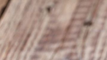 plátanos-istetiana-Canva