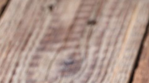 plátanos-istetiana-Canva