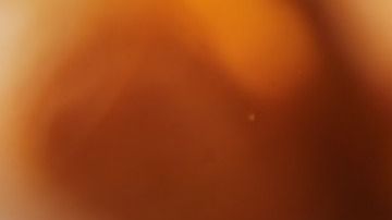 pollo agridulce-resnick_joshua-C