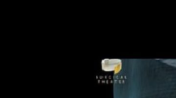 Así se aprecian los pulmones en el video.