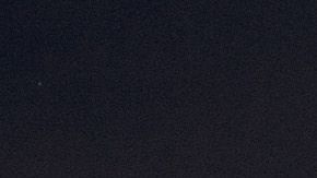 P-22 fotografiado frente al famoso letrero de Hollywood. Foto: Steve Winter/National Geographic