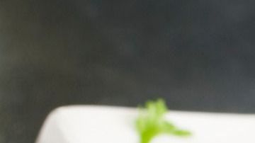 Quesadilla con frijoles pintos. Crédito: Travellinglight-Canva