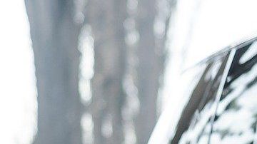 La compañía automotriz busca eliminar los virus que se almacenan en las cabinas de los autos y se introducen por las tomas de aire.