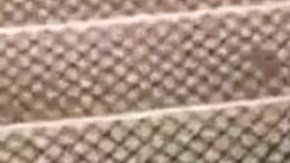 Rata en el metro con un muffin.