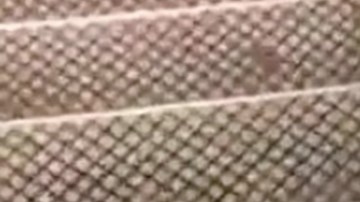 Rata en el metro con un muffin.