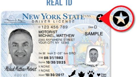 Cada estado emitirá la licencia, pero con criterios federales.