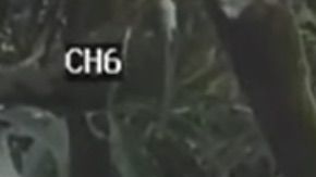 Captura de las cámaras de vigilancia en la que se ve a un hombre apuntando al ladrón con un arma.