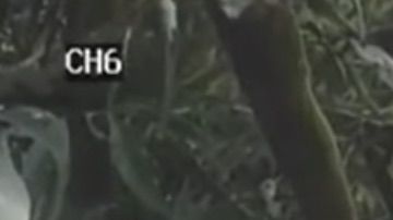 Captura de las cámaras de vigilancia en la que se ve a un hombre apuntando al ladrón con un arma.