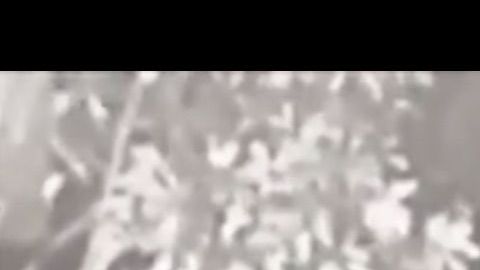 Imagen de la cámara de seguridad del restaurante donde aparece el ladrón cargando el material de higiene y limpieza.