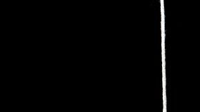 Rudy and Peter Skitterians en Pixabay